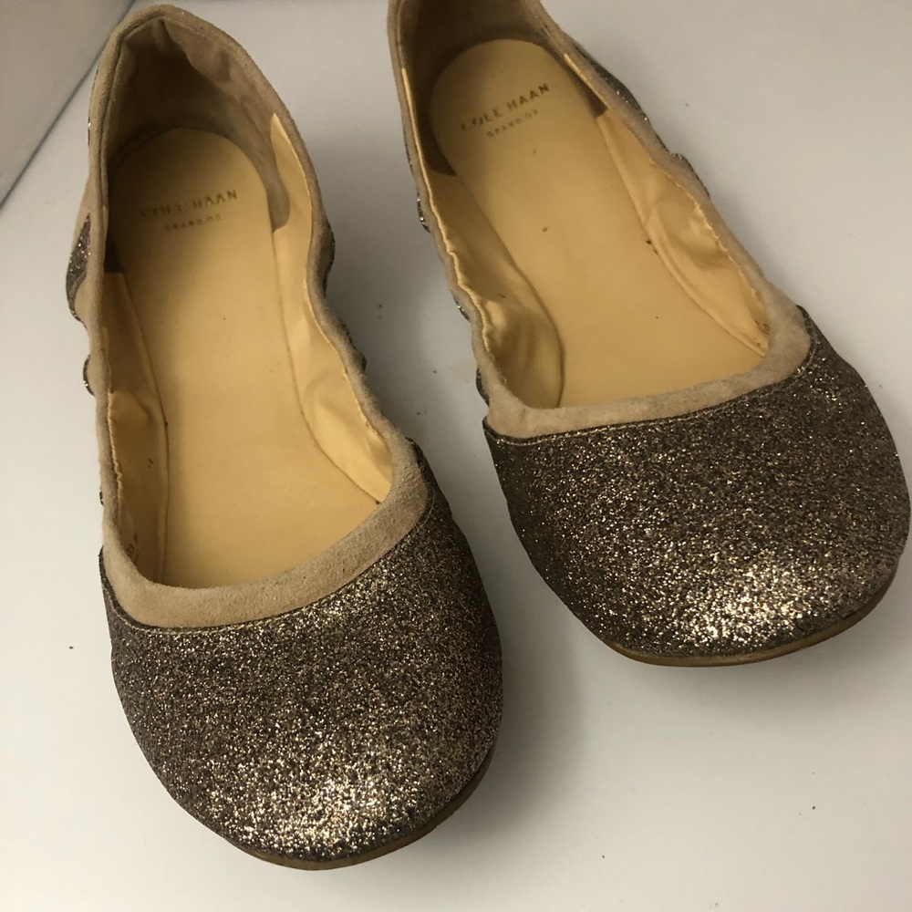 Cole Haan Glitter Ballet Flats Sz 8 Holiday NYE Fairy Romantic Business Casual